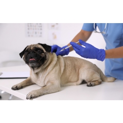 神經.jpg 神經.jpg