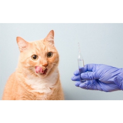 寵物.jpg 寵物.jpg